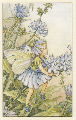 Cicely Mary Barker: Kukkakeijut sikuri