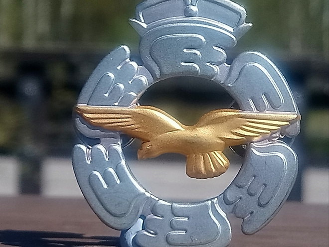 SA - Ilmavoimat kokardi. Halkaisija - 44 mm.