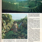 Karjatalous n:o 2 1976 Lombardia on karjatalous-ja riisinvil - pikkukuva 5