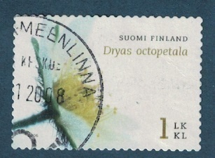 Lapinvuokko, 2006, Lape 1807, siisti
