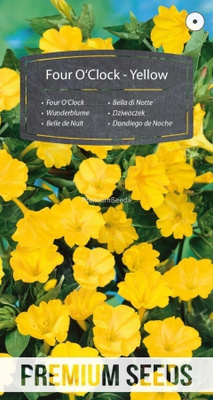 Mökinihmekukka "Four O’Clock – Yellow" - siemenet #