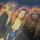 VIXEN - EDGE OF A BROKEN HEART KUVALEVY NIMMAREILLA - pikkukuva 2