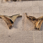 Timanttiriipus+ketju, 14K, 42 cm, 1 mm, 4,1 g - pikkukuva 2