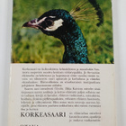 Ilkka Koivisto : Korkeasaari - pikkukuva 2