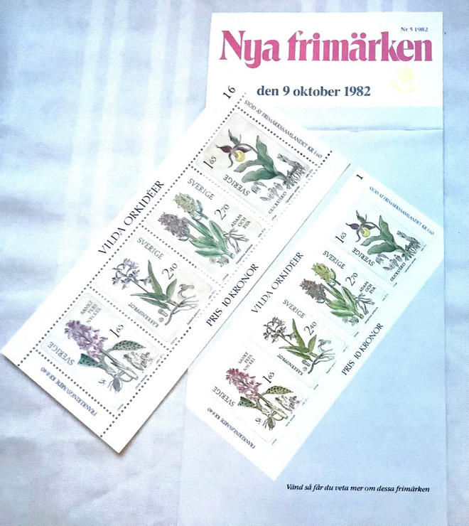 Kukat, Villit orkideat Ruotsi, svenska vilda orkideer