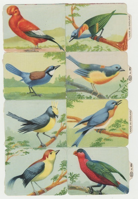 * M.P 894, upeat linnut-arkki, oikea puoli *