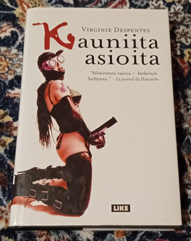 Virginie Despentes - Kauniita asioita