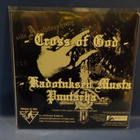 ANAL BLASPHEMY / BLOODHAMER - FILTH UNION IN DESECRATION 7" - pikkukuva 2