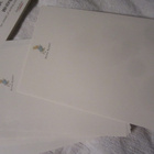 Petteri Kaniini Kirjepaperi / Paperikko  8 paperia ja kuorta - pikkukuva 2