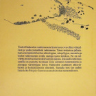 Julku ; Satokangas (toim.) : Hailuodon keskiaika - pikkukuva 2