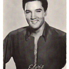 Vanha Postikortti ELVIS PRESLEY - pikkukuva 1