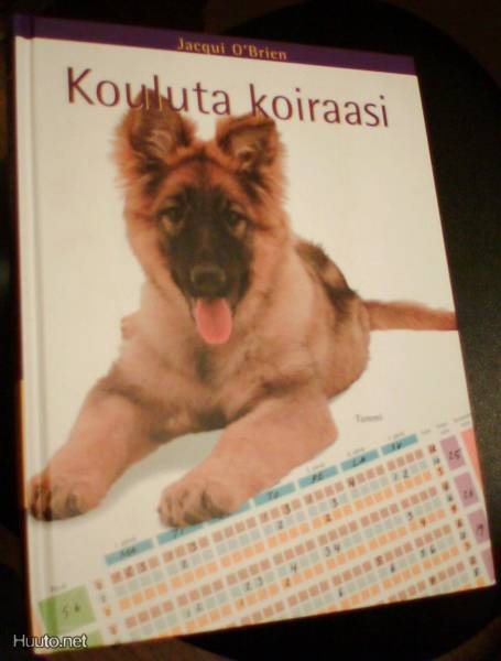 Jacqui O`Brien: Kouluta koiraasi (Sis.pk:t)