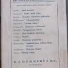 Yorke Davis: Viheriä viitta (10 mk), Gummerus 1919. 175 s. - pikkukuva 2