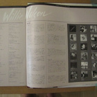 Willie Nelson Without a song lp japani 1983 obi booklet - pikkukuva 3