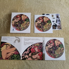 BLUES PILLS - Lady In Gold CD - pikkukuva 1