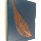Clare Cooley : The Book of Cranes (Kotelossa, Haitarikirja) - pikkukuva 3