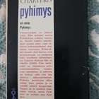 CHSRTERIS PYHIMYS ON AINA PYHIMYS - pikkukuva 2