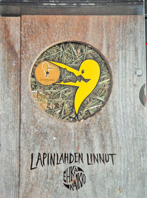 Lapinlahden linnut: Ehkä kaikki (1988-2006) 7DVD + CD