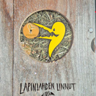 Lapinlahden linnut: Ehkä kaikki (1988-2006) 7DVD + CD - pikkukuva 1