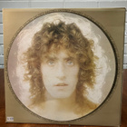 Roger Daltrey - Daltrey LP - pikkukuva 1