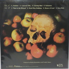 DEAD KOSMONAUT - EXPECT NOTHING - M-/M- LP - pikkukuva 2
