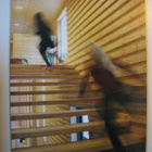 Puu lehti 2008 vuosikerta, 4 kappaletta lehtiä - pikkukuva 1