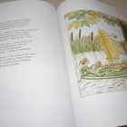 Elsa Beslow Nappu, Nutta ja pikku Terho - pikkukuva 3