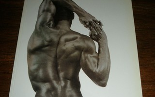 Best of graphics Photo 1- Könemann photography 1