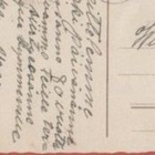 Tyttö, kissa ja koira laiturilla - kulk v 1928 - pikkukuva 2