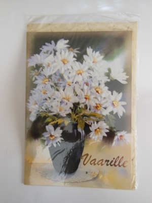Vaarille taittokortti ja kuori