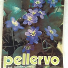 Pellervo N:o 8 toukokuu 1979 - pikkukuva 1