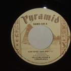 Pelle Miljoona & Linnunlaulu 7" Kun kevät taas saa/Oma koti - pikkukuva 1