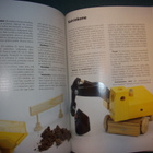 Erik Skarman: NIKKAROI PUULELUJA (2.p.2005) Sis.postikulut - pikkukuva 4