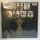 VILLAGE PEOPLE - GREATEST HITS M-/M- LP - pikkukuva 2