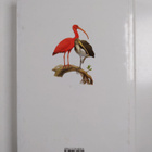 Birds of the West Indies - pikkukuva 2
