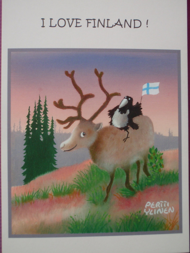 Pertti Ylinen varis lipun kanssa poron kyydissä