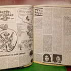 Intro 7/1974. Hieno Hurriganes juliste mukana - pikkukuva 3