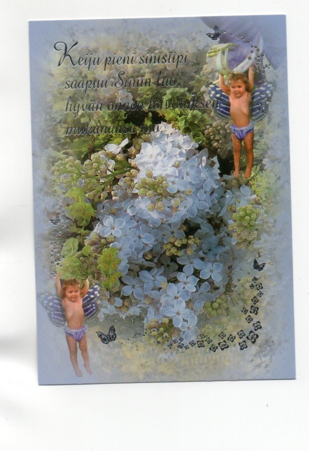 °°KEIJU PIENI SINISIIPI....°° -KORTTI / Papron