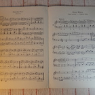 BEETHOVEN - LITTLE DANCES - MARTIN FREY - NUOTTIVIHKO - pikkukuva 2