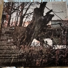 Black Sabbath - Black Sabbath (LP) - pikkukuva 2