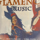 TRADITIONAL FLAMENCO MUSIC - pikkukuva 1