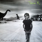 TONIO K :: NOTES FROM THE LOST CIVILIZATION::VINYYLI LP 1988 - pikkukuva 1