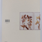 Wislawa Szymborska : Wiersze - pikkukuva 2