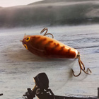 Rapala SFR-5 Finland - pikkukuva 4