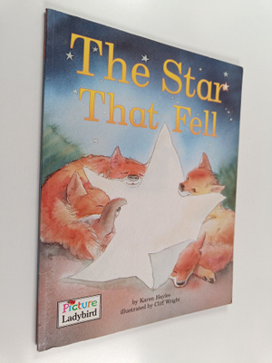 Karen Hayles : The Star that Fell