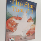 Karen Hayles : The Star that Fell - pikkukuva 1