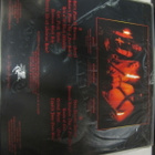 FLAMES- INTO THE AGE OF FIRE LP 2005 SAKSA PAINOS UUSI - pikkukuva 2
