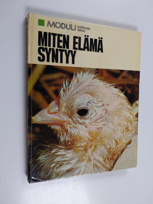 Miten elämä syntyy