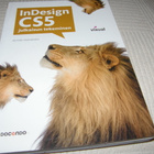 Petteri Paananen InDesign CS5 julkaisun tekeminen -nid - pikkukuva 1