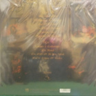 DESASTER - THE OATH OF AN IRON RITUAL - EU 2016 M-/M- LP - pikkukuva 2